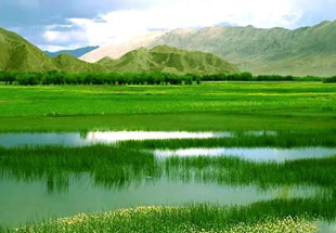 �������Ȼ�羰��